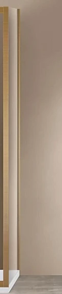 Душевая стенка боковая Vincea Garda VSG-1G100CLG 100*190 профиль брашированное золото
