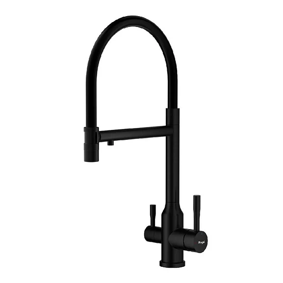 Смеситель Raglo R81.63.06 для кухни с гибким изливом и функцией подключения фильтра черный матовый