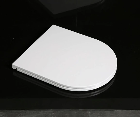 Крышка-сиденье WeltWasser WW SK 013 GL-WT с микролифтом Slim(для Merzbach 001 и 004, Salzbach 001, Telbach 001, Odenbach 004)