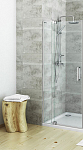 Душевая дверь Roth Elegant Neo Line GDO1N 100*200 Душевая дверь Roth Elegant Neo Line GDO1N 100*200