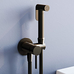 Гигиенический душ со смесителем RGW Shower Panels SP-211B скрытый монтаж черный матовый Гигиенический душ со смесителем RGW Shower Panels SP-211B скрытый монтаж черный матовый