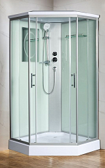 Душевая кабина WeltWasser WW500 Premium Nesse 1002 100х100х217