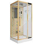 Душевая кабина Niagara Luxe NG-7714G 100х90х220 L/R Душевая кабина Niagara Luxe NG-7714G 100х90х220 L/R